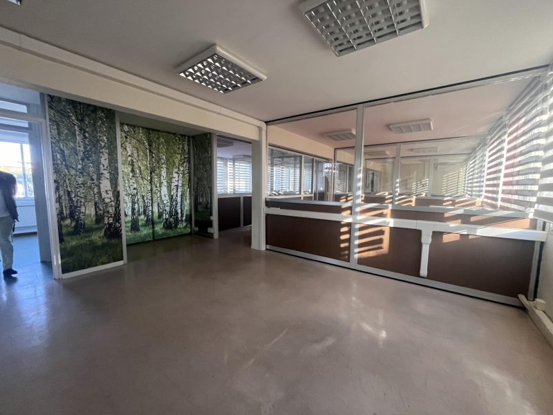 LOCAUX PROFESSIONNELS VIAGER LIBRE - Photo 1